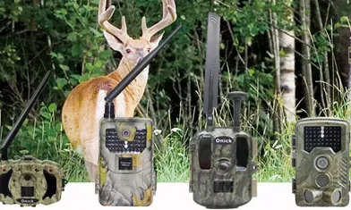 Saudi Arabia's Nature Reserves Purchased Dozens Of Onick Am-999 Infrared Monitoring Cameras